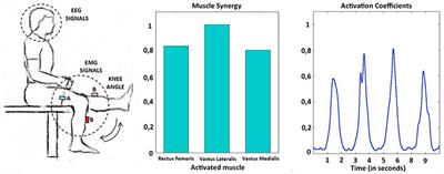 Estimation of Neuromuscular Primitives from EEG Slow Cortical Potentials in Incomplete Spinal Cord Injury Individuals for a New Class of Brain-Machine Interfaces